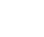 Fonts