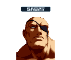 Sagat