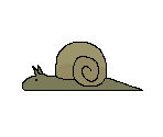 Snail