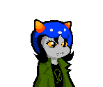 Nepeta