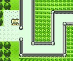 Route 11