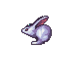 Rapid Rabbit