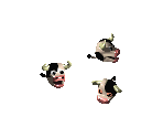 Cow Head