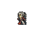 Aranea