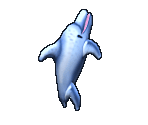 Dolphin