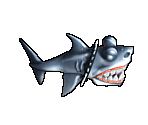 Shark