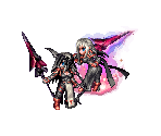 Aranea