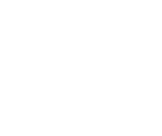 Fonts