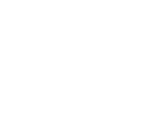 Fonts