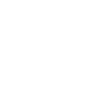 Fonts