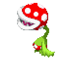 Piranha Bean and Piranha Plants