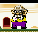 Wario