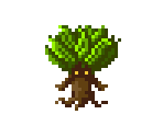 Mandrake