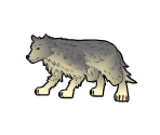 Mountain Wolf