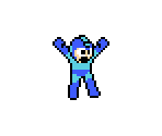 Mega Man / Rockman