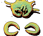 Pincers
