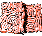 Rapid Assault & Mystic Meat