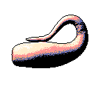 Cranial Appendage (1/2)