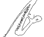 Illusion Form (2/2) & Cranial Appendage (2/2)