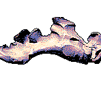 Misc. Battle Animations