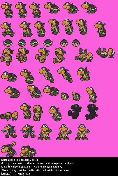 Ninjakoopa / Koopa Bros. (Black)