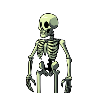 Skeleton