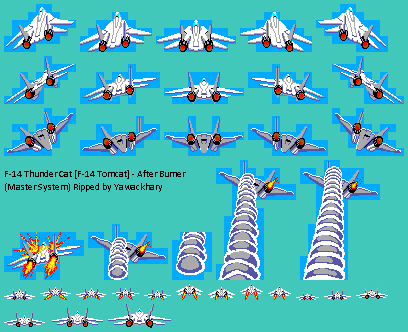 F-14 Thunder Cat / Tomcat