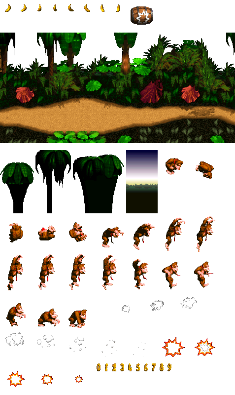 Donkey Kong Country