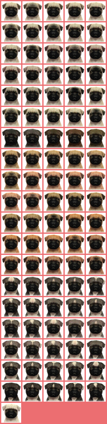 Pugs