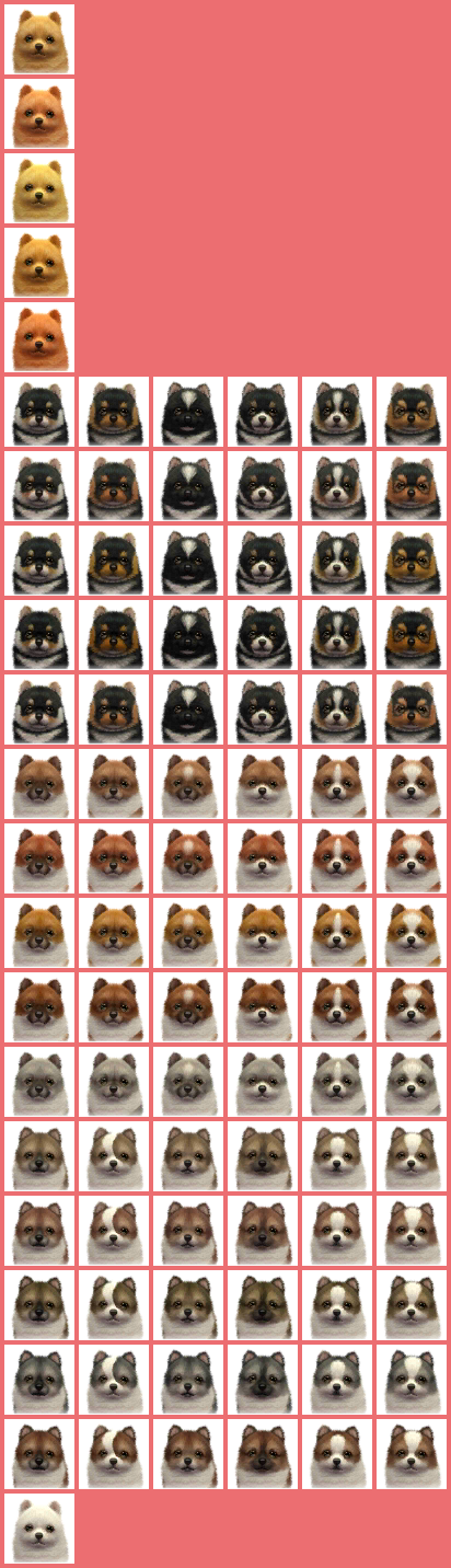 Pomeranians