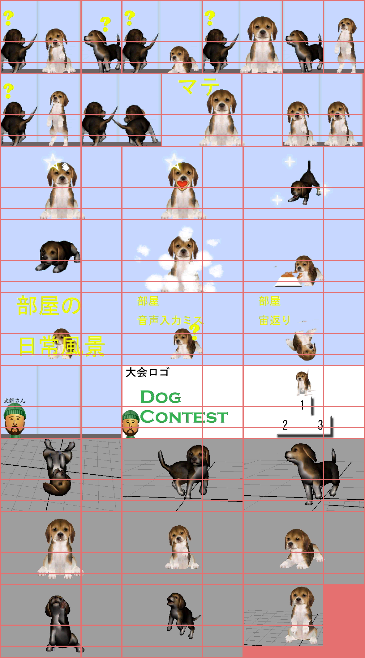 Nintendogs + Cats - Beta Testing