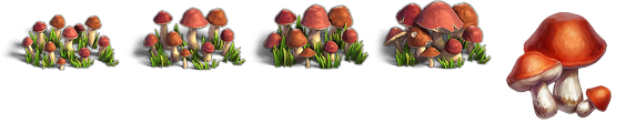 Fidelity (Верность) - Mushrooms