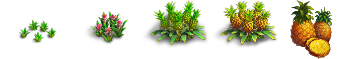 Fidelity (Верность) - Pineapple