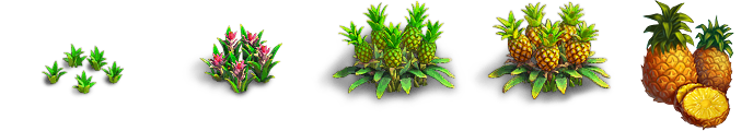 Pineapple