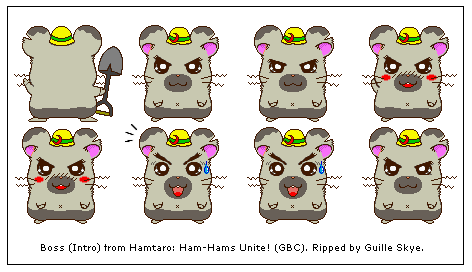 Hamtaro: Ham-Hams Unite - Boss (Intro)