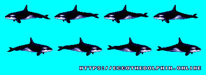 Orca