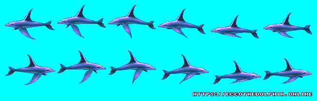 Future Dolphin