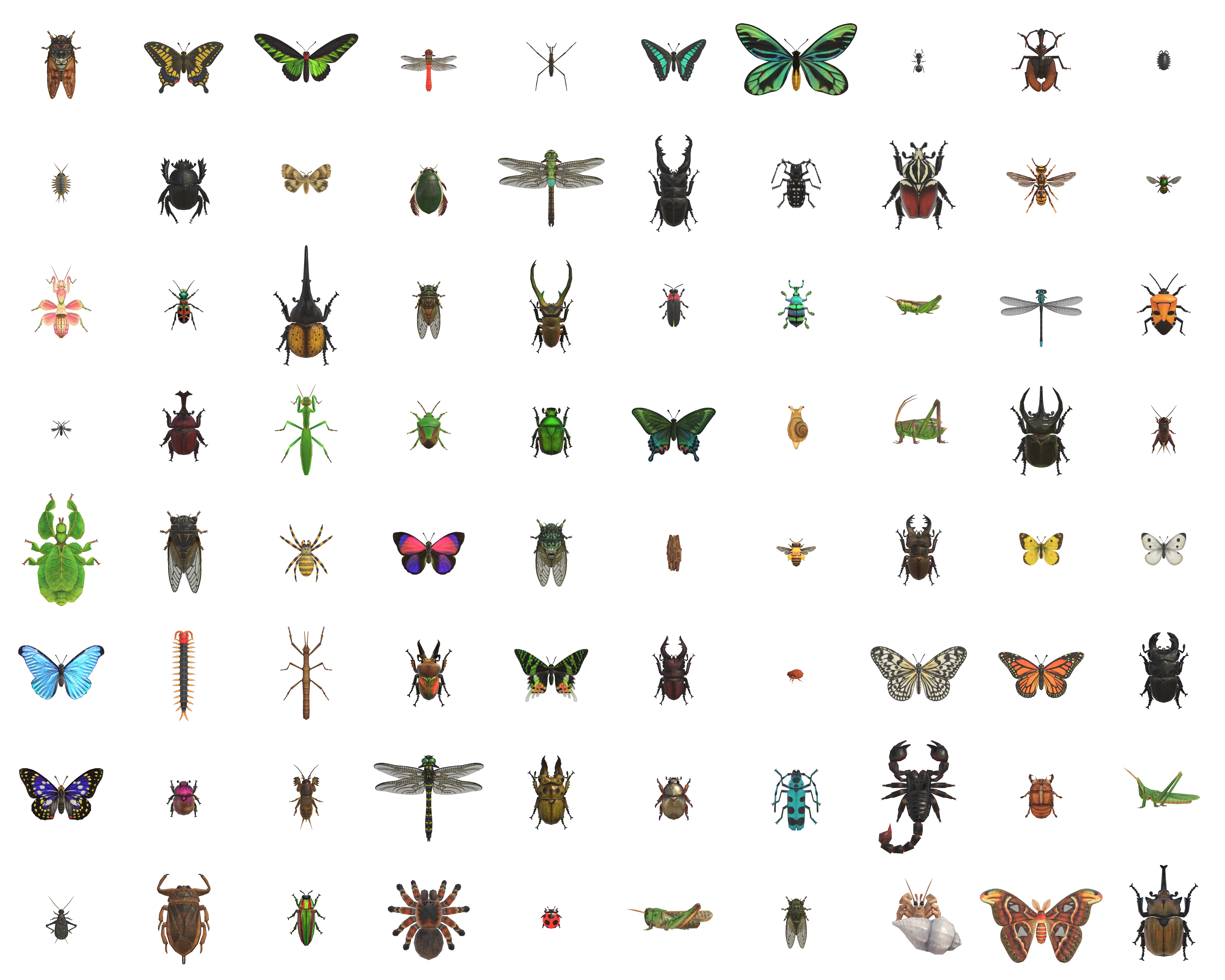 Animal Crossing: New Horizons - Insects
