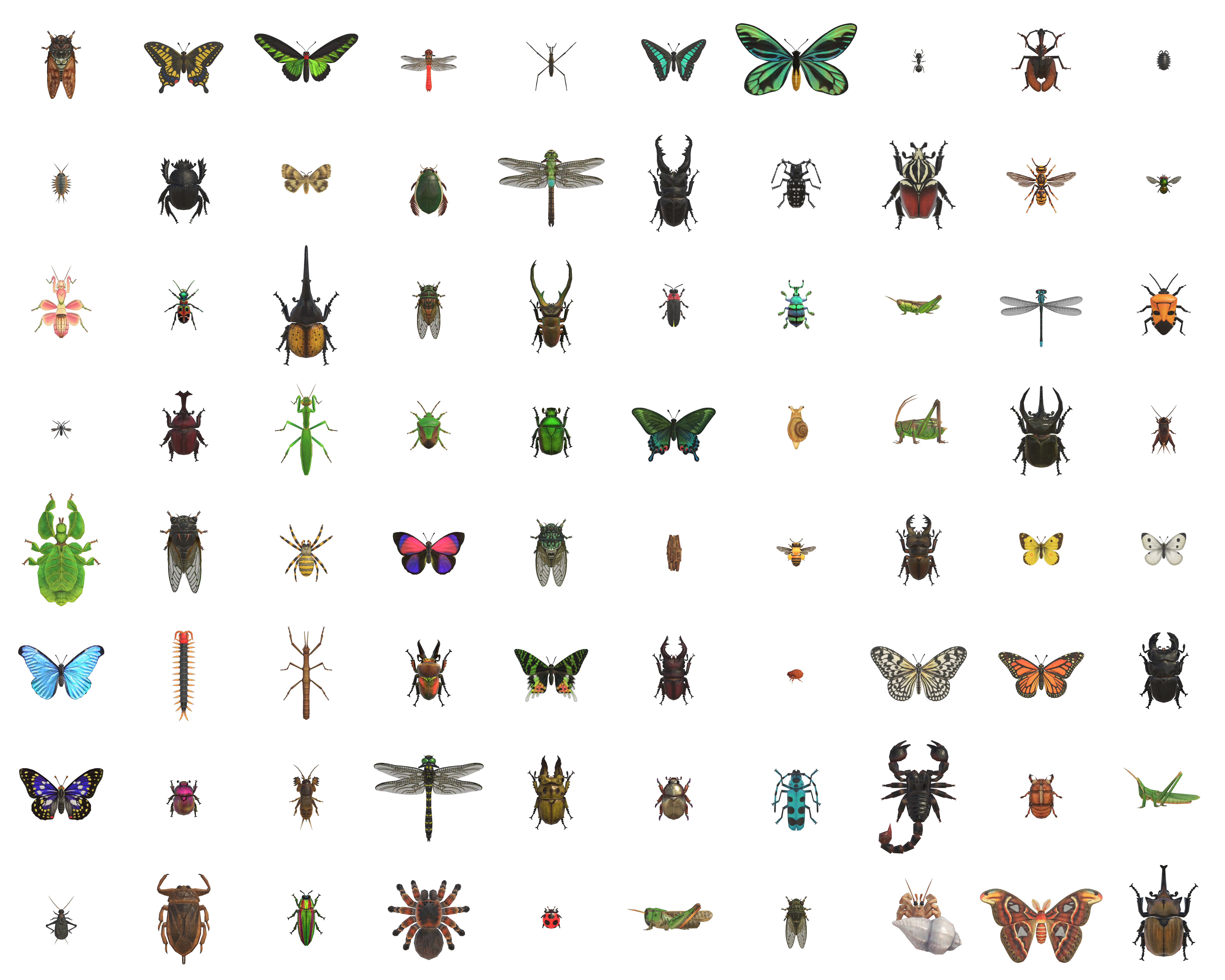 Insects