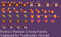 Funky's Rental Kongs