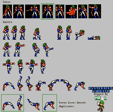 Double Dragon II: The Revenge - Mysterious Warrior