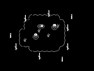 Minit - Oasis Room