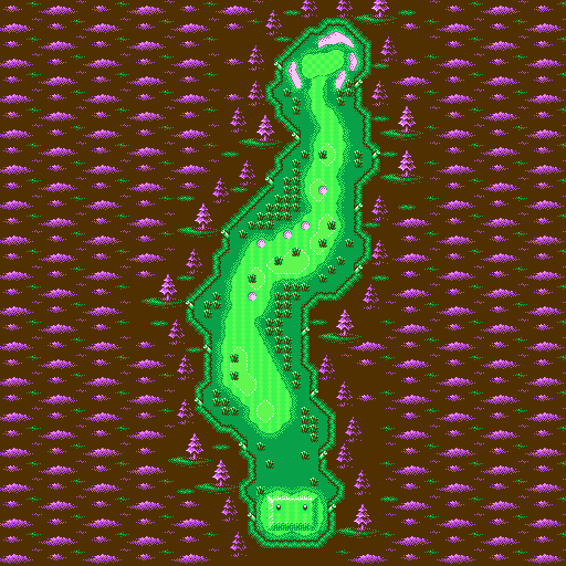 Links Course #17