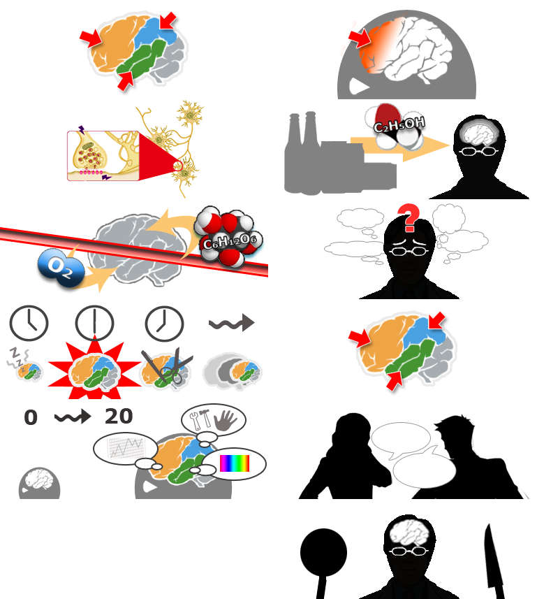 Brain Exercise with Dr. Kawashima - Reading Explanation Pages