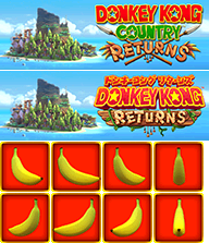 Donkey Kong Country Returns - Save Icon and Banner