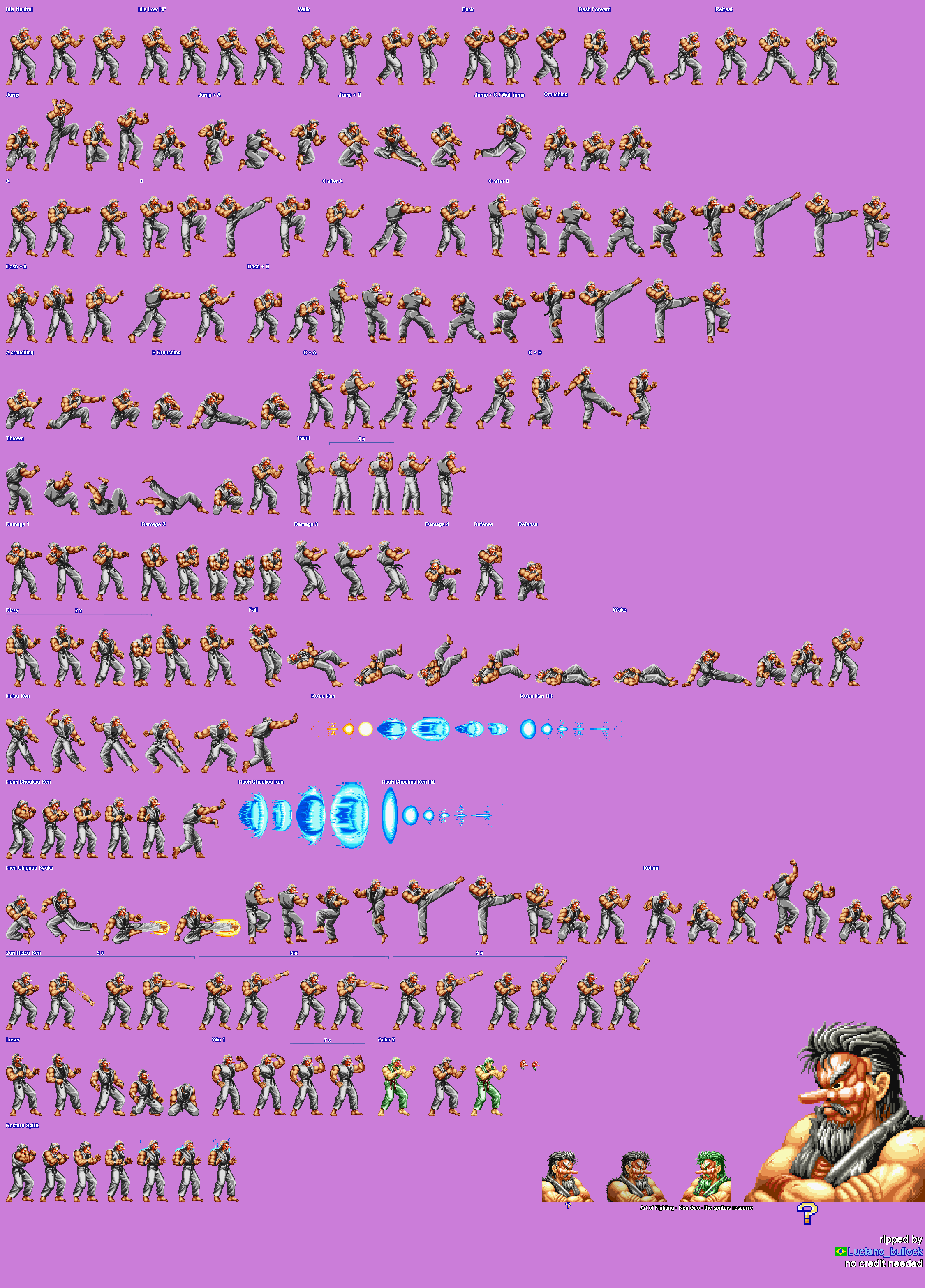 Art of Fighting - Mr. Karate