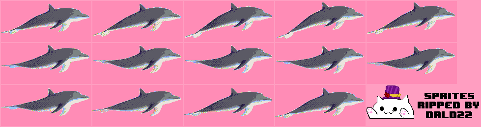 Dolphin