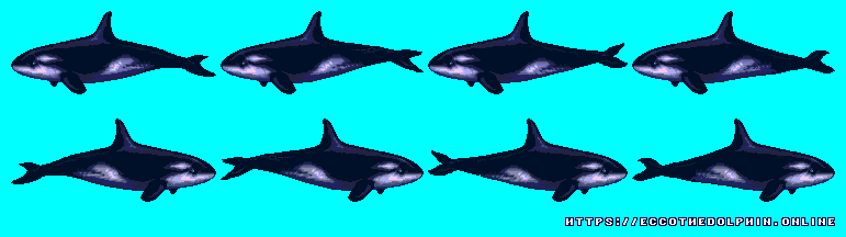 Ecco the Dolphin - Orca