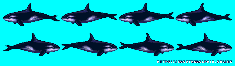 Orca