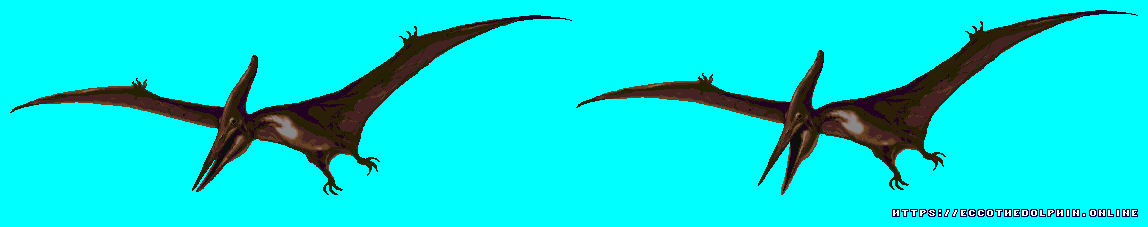 Pteranodon